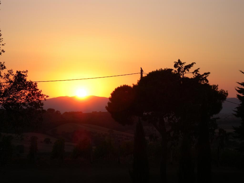 Pensjonat Poggio Lungo Grosseto Pokój zdjęcie